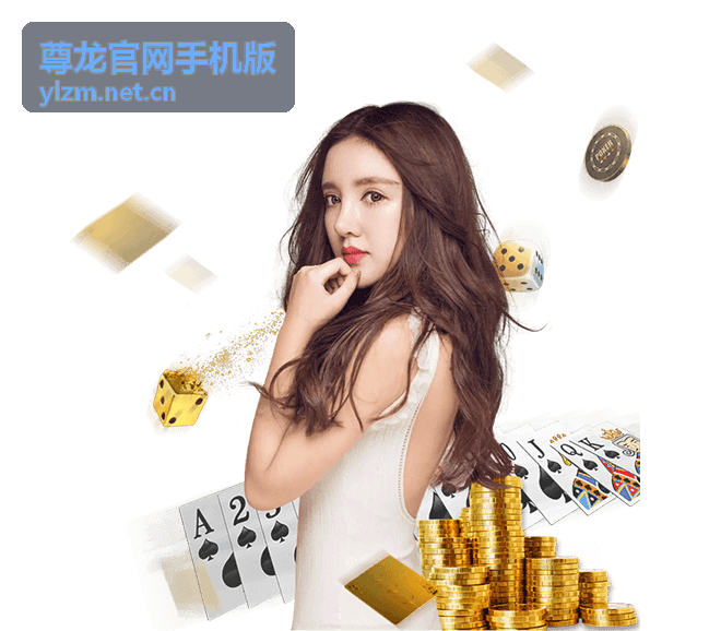 尊龙官网手机版功能指南