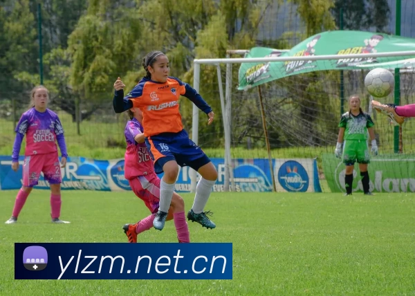 世界杯官方appAPP 高清赛事图